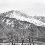 Photos from can 'Douglas DC-3 proving to Chitral' in 1962