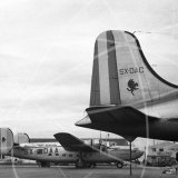 Photos from can '232' in 1951