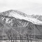Photos from can 'Douglas DC-3 proving to Chitral' in 1962