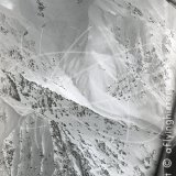 Photos from can '15 PIA DC-3 Chitral flight 1962' in 1962