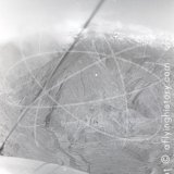 Photos from can '15 PIA DC-3 Chitral flight 1962' in 1962