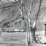 Photos from can '15 PIA DC-3 Chitral flight 1962' in 1962