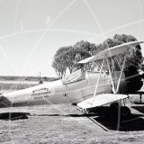 VH-AFY - Avro Cadet at Pittsworth in 1964