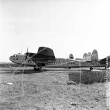 EP-ADD - Avro York at Beirut Airport in 1957
