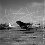 EP-ADE - Avro York C1 at Beirut Airport in 1957