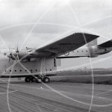 XB259 - Blackburn Beverley at Unknown in Unknown