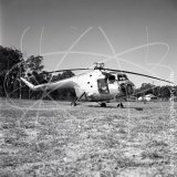 VH-SYC - Bristol 171 Sycamore at Bankstown in 1967