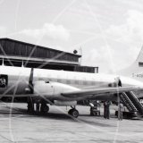 D-BOBA - Convair 240 at Unknown in Unknown