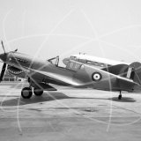 N94466 - Curtiss TP-40N at Clark Regional Airport, Kentuck in 1972