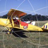 G-AFVE - de Havilland Tiger Moth at Woburn Abbey in 2000