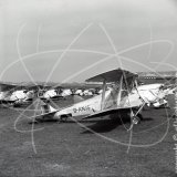 G-ANJG - de Havilland Tiger Moth at Croydon in 1954