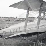 G-ANPL - de Havilland Tiger Moth at Unknown in Unknown