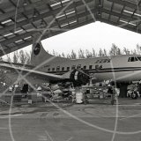 N40407 - Martin 404 at Naples in 1983